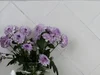 Плитка Adex Nature