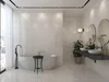 Керамогранит AGL Tiles Arctic