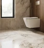 Керамогранит Arcadia Ceramica Bolivia