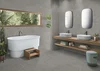 Керамогранит Arcadia Ceramica Equistone