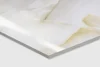Керамогранит Arcadia Ceramica Primo Onyx