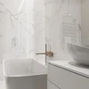 Керамогранит Arcadia Ceramica Statuario Mires