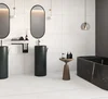 Керамогранит Arcadia Ceramica Symphony