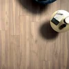 Керамогранит Ariana Essential