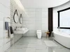 Керамогранит и керамическая плитка Artecera Onix Perla