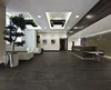 Керамогранит Ascot Prowalk