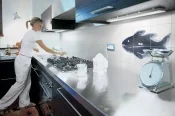 Плитка Bardelli Il Pesce Seleste
