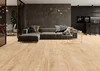 Керамогранит Cerrad Nickwood
