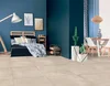 Керамогранит Dado Ceramica Basic