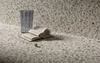Керамогранит Marble EditionDel Conca Marble Edition