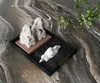 Спеченный камень Delfone Landscape Stone