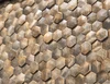 Мозаика Dune Materia Mosaics