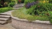 Плитка Ecoceramic Bancal