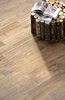 Керамогранит Ergon Wood Talk