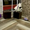 Плитка Estima Artwood