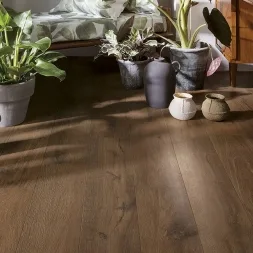Roots