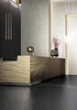 Керамогранит FMG Luce Maxfine