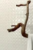 Керамогранит Gardenia Orchidea Mood