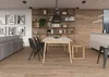 Керамогранит Gaya Fores Belsize