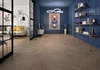 Керамогранит Geotiles Norden