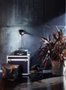 Керамогранит Iris Stage