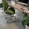Керамогранит Kerama Marazzi Агуста
