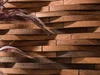 Керамогранит L'Antic Colonial Wood