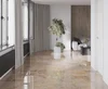 Керамогранит Laparet Brecia Antic Brown