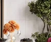 Керамогранит Laparet Runa Bianco