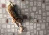 Плитка Leonardo Overcome