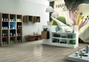 Плитка Ragno Harmony