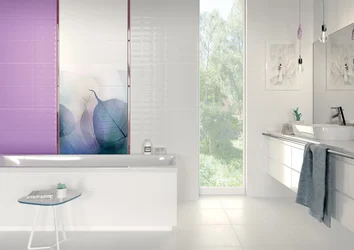 Vivid Colours