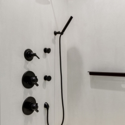 Iron