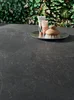 Керамогранит Panaria Stone Trace