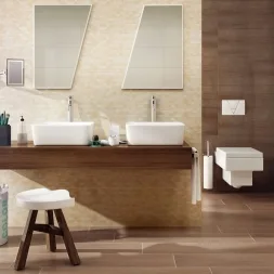 Domus