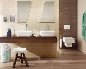 Domus