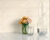 Плитка Paradyz Tenone