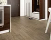Плитка Paradyz Wood basic