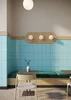 Плитка Pieza Ceramica ColorIt