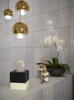 Плитка Pieza Ceramica Gloss
