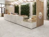 Керамогранит Porcelanite Dos Rapolano 1867