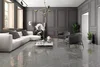 Керамогранит Prissmacer Porcesshine