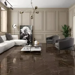 Porcesshine