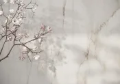 Керамогранит Ragno Incanto