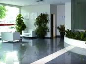 Плитка Sal Sapiente Luxury -PLX, MLX