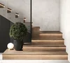 Плитка Staro L ступени