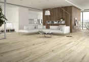 Плитка STN Ceramica Springwood