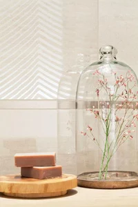 Shine Concrete
