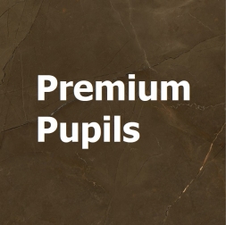 Premium Pupils