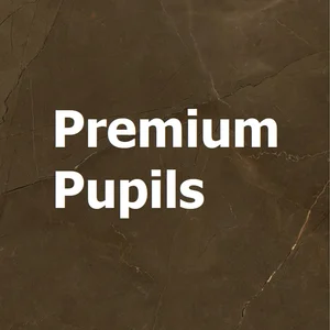Premium Pupils